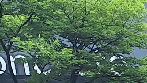 Los residentes en los vecindarios de muy alta pobreza tienen una tasa de diagnóstico de altos niveles de azúcar del 15%, casi el doble de las localidades de baja pobreza