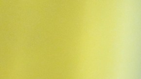 New York Times: Musk consumió ketamina, éxtasis y hongos psicodélicos durante campaña de Trump