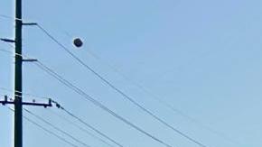 Personas sostienen carteles y banderas durante una manifestación este sábado, en Tucson (Estados Unidos).