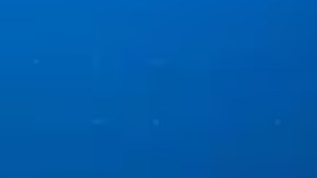 Foto policial de Eddie Thomas, el hombre acusado en Florida por el incendio.