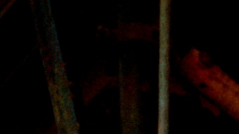 De acuerdo con “Love, Freddie: Freddie Mercury’s Secret Life and Love", Mercury mantuvo una relación estrecha y amorosa con su hija.