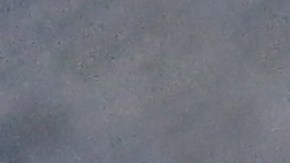 Los frijoles contienen soja, un alergeno no declarado.