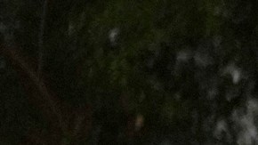 Familias de rehenes de Hamás exigen a Israel cesar ataques en Gaza: "¡Paren la guerra!"