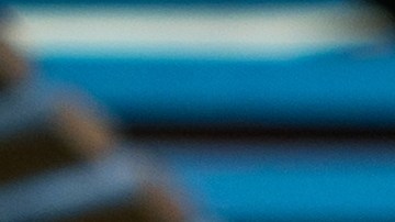 Embellece tu jardín