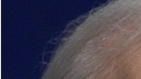 Trump filtró grabación de Biden que revela lagunas mentales en interrogatorio