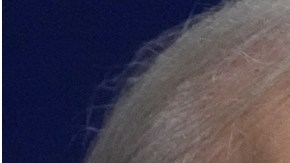 Trump filtró grabación de Biden que revela lagunas mentales en interrogatorio