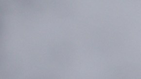 La papaya y las zanahorias aportan fibra que ayuda a mejorar la digestión.