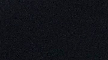 Kylie Jenner y Timothée Chalamet llegaron de la mano y posaron muy cariñosos.