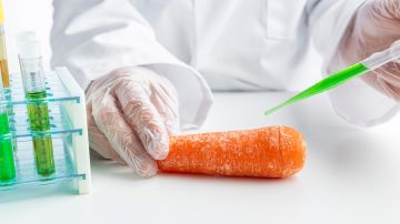 Brotes de listeria