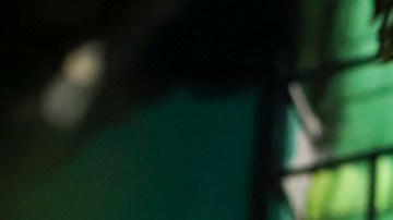 Gobierno de Nayib Bukele negó pactos con pandilleros para combatir la delincuencia