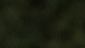 No es la primera vez que los duques de Sussex demuestran su admiración por Beyoncé.