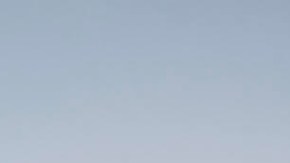 Exigen $40 millones de dólares al gobierno de Trump por ayuda a migrantes