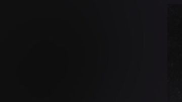 Hallan nueva especie de dinosaurios.