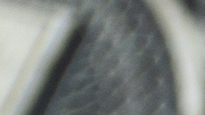 numismatica-moneda-de-1-dolar