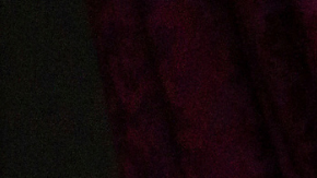 Habló el hermano del papa León XIV que simpatiza con Donald Trump