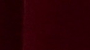 papa-leon-xiv-impuestos-estados-unidos