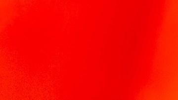 Las papas se distribuyeron en cuatro grandes lotes.