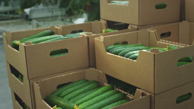 Bedner Grower's inició un retiro masivo de pepino a nivel nacional por riesgo de salmonela.