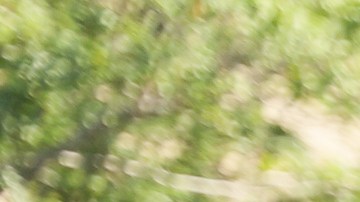 Este episodio se suma a la larga lista de momentos incómodos que han vivido Piqué y Clara desde que destaparon su relación.