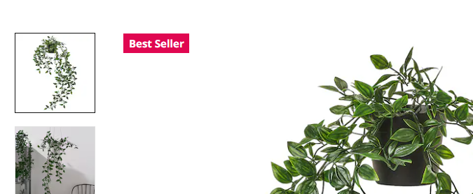 La planta que vende Ikea por solo $4.99 en su página web. Foto: Captura.