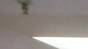 productos-chinos-desabasto-tiendas