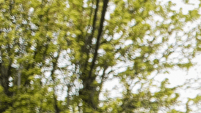 DHS publicó video del momento de la detención de alcalde Ras Baraka en Newark