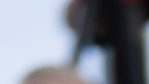 Scarlett Johansson calificó la experiencia como "un sueño hecho realidad".