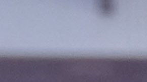 Trent Alexander-Arnold celebra tras ganar la Premier League con el Liverpool.