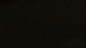 Hinchas de la selección de fútbol de Estados Unidos. Imagen referencial.