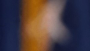 Verónica Ferraiuoli dirigirá el DOGE boricua