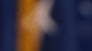 Verónica Ferraiuoli dirigirá el DOGE boricua