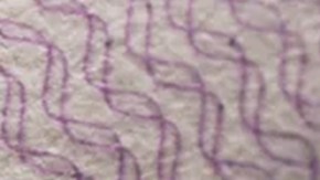 ¿Qué pasará con los extranjeros que usen la visa de turista para dar a luz en Estados Unidos?