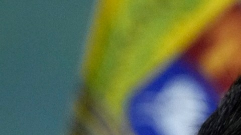 Venezuela reaccionó a la alerta de viaje de Estados Unidos: "Cinismo, racismo y propaganda"