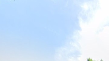 Cuadra residencial en Harlem, NYC.