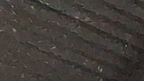 La ola de calor que abrazó a la Gran Manzana no apagó los ánimos de miles de sufragantes.