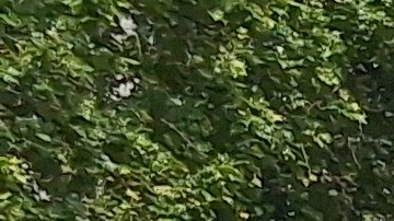 La senadora estatal Julia Salazar presionó este lunes por más protecciones a los migrantes desde el Bajo Manhattan.