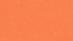 En la imagen, Alejandra Capetillo.