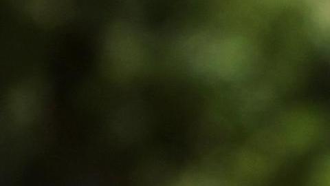 te de Estados Unidos, Donald Trump, asiste a una ceremonia de llegada durante la Cumbre del Grupo de los Siete (G7) en el Pomeroy Kananaskis Mountain Lodge, en Kananaskis, Alberta, Canadá, el 16 de junio de 2025.