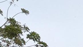 Fotografía cedida por la Oficina Federal de Investigaciones (FBI) donde aparece uno de sus agentes acompañado por un agente del Servicio de Inmigración y Control de Aduanas (ICE) custodiando a un inmigrante a una furgoneta en el condado de Los Ángeles, California (EE.UU.).