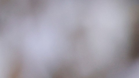 Vinícius Jr. tuvo un encuentro para el olvido en el debut del Real Madrid en el Mundial de Clubes.