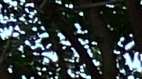 Pobreza, inseguridad, falta de acceso a servicios, son algunas de las necesidades de buena parte de la población pobre de Manhattan