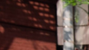 El alcalde Adams anunció la lucha contra ratas y basuras en Harlem