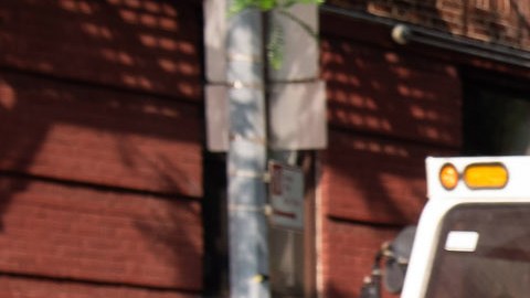 El alcalde Adams anunció la lucha contra ratas y basuras en Harlem