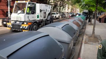 El alcalde Adams anunció la lucha contra ratas y basuras en Harlem