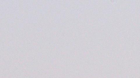 67074454_606