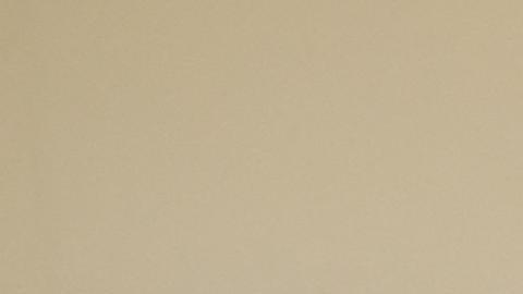 72819977_606
