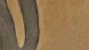 Zohran Mamdani esperando los resultados de las primarias, donde va liderando