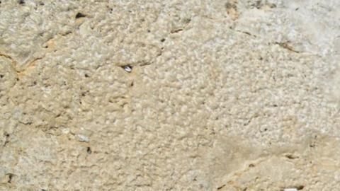 El primer ministro israelí, Benjamín Netanyahu, ofreció este domingo una "oración especial por la paz del presidente de Estados Unidos, Donald Trump" en el Muro de las Lamentaciones de Jerusalén.