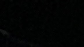 Celebración del triunfo de Zohran Mamdani en primarias en NYC.