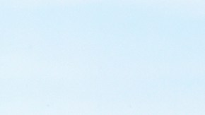 Este lunes 9 de junio entró en vigor la orden firmada por Trump.